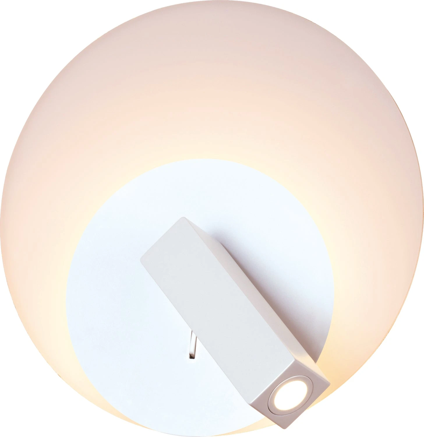 Water Lily Wall Sconce