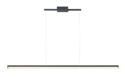 Hover Linear Suspension