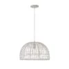 One Light Pendant M70105WR