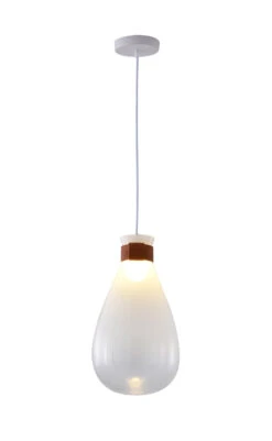 One Light Pendant DLS30P10W